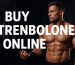 Buy Trenbolone Online – Dosage, Price, and Where to Get It